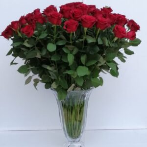 All For Love - 100 Long Stem Red Roses in a Vase