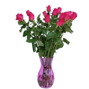 Cerise Pink Roses - 24 Cerise Pink roses in a vase