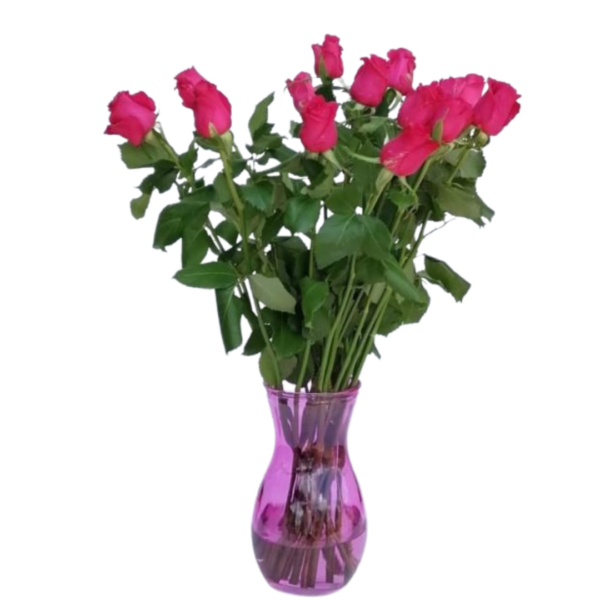 Cerise Pink Roses - 24 Cerise Pink roses in a vase