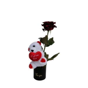 For Love Sake - Single Red Rose & Teddy in a Black Box