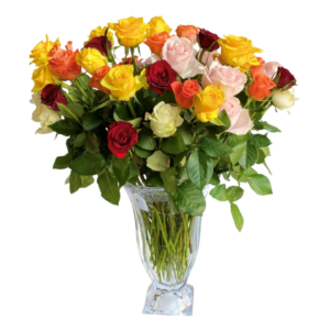 Mixed Roses - 100 Mix Long Stem Roses in a Vase