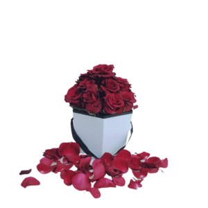 Pure Romance - 15 Red roses in a Box