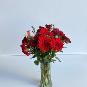 Red Hot Love - 6 Red roses & 6 Red Gerberas in vase