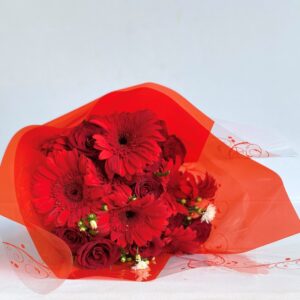 Red Hot Love - Bunch of 6 Red Roses & 6 Red Gerberas