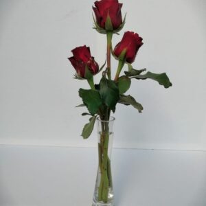 Simply Love - 3 Red roses in a Vase
